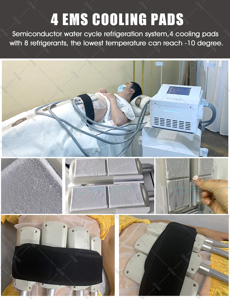 Máquina criogénica EMS de placas de enfriamiento de crioterapia de congelación de grasa con 4 manijas