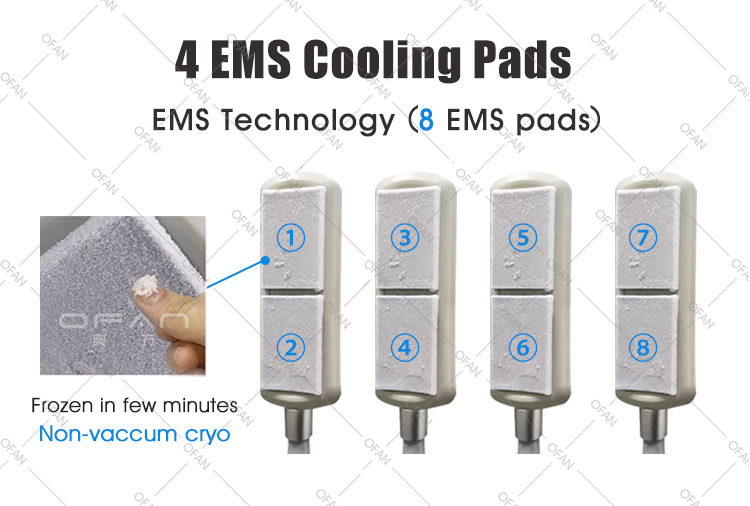 Máquina criogénica EMS de placas de enfriamiento de crioterapia de congelación de grasa con 4 manijas