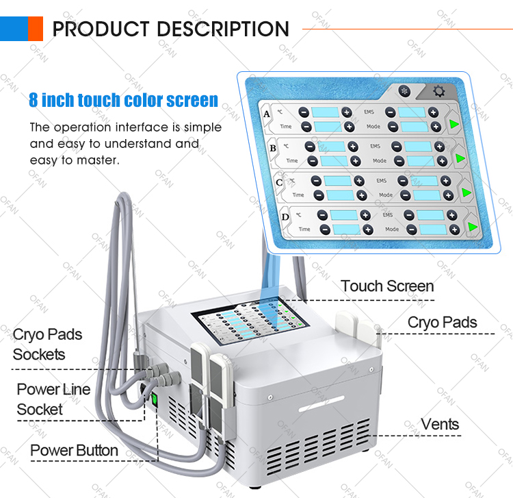 Máquina criogénica EMS de placas de enfriamiento de crioterapia de congelación de grasa con 4 manijas