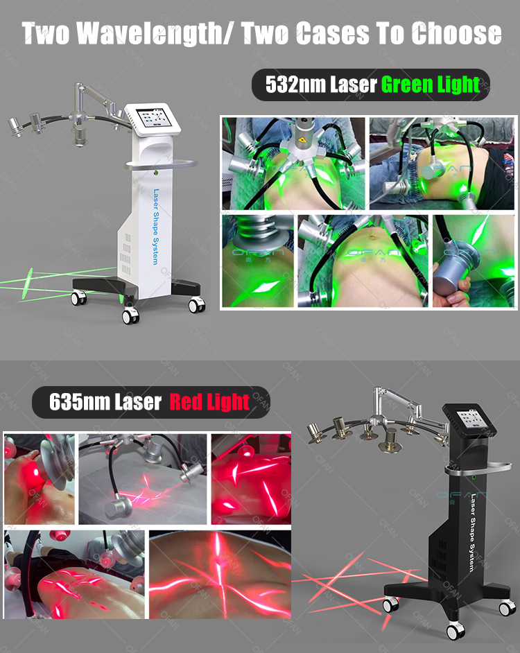 Longitudes de onda no invasivas de 532nm/635nm Terapia láser reducción de grasa adelgazante máquina láser 6D