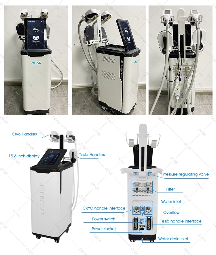 2en1 Cryo360 Tesla Máquiona