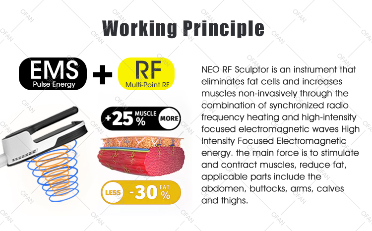 RF Teslasculptor