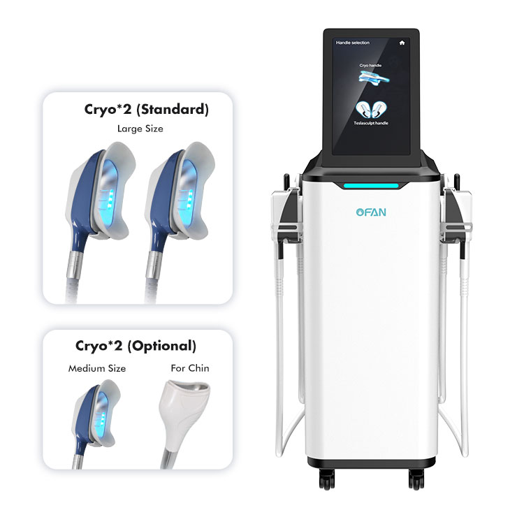 2en1 Cryo360 Tesla Máquiona